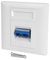60201PI - 1 Gang Twin SC Fibre Optic Faceplate, White