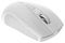 CNE-CMSW07W - MW-07 Wireless Optical Mouse, White
