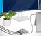 MST14CD123DP - USB-C to 3x DisplayPort 1.4 MST Hub, 4K UHD 60Hz