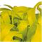 62020Y - Handheld Streamer Cannon 50CM, Yellow