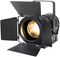 MP 60 WW - 60W Warm White LED Fresnel Lantern Stage Light