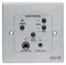 BIAACPL - Volume Control Panel with Local Inputs