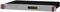 ML-16D - ML16D - Dante Analogue Converter