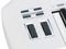CARBON 61 - 61-Keys MIDI Keyboard Controller USB