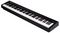 NPK-10 - NPK-10 88-Key Digital MIDI Keyboard Piano