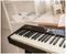 NPK-10 - NPK-10 88-Key Digital MIDI Keyboard Piano