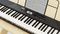 NEK-100 - 61 Key Portable Keyboard