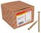 MAMCFS42 - 7.5mm x 42mm ZYP Torx Concrete Frame Screws, 100 Pack