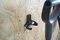 SH033-BK - Capture Hook Plastic Storage Hooks, Black - 3 Pack