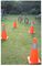 90-805 - 41cm Collapsible Cone