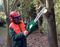 82646 - Forestry Helmet