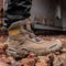 LANDER STONE 11 - Nubuck Lander BOA Safety Boots, Stone - Size 11