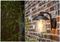2642 BR - LED Outdoor Cate Lantern Light