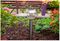 PEL01355 - Solar LED Garden Lights, 6 Pack