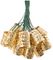 SS9953 - Elan Solar LED Scroll Lanterns, Warm White, 10m, 20x LEDs