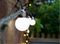 SS9961 - Elan Solar LED Festoon Lanterns, Warm White, 10m, 20x LEDs