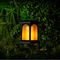 SS9968 - TrueFlame Solar LED Crook Lantern, 50lm