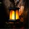 SS9968 - TrueFlame Solar LED Crook Lantern, 50lm