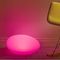 SLPE - ShapeLights Indoor & Outdoor USB Solar Powered Mood Light - Pebble