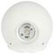 VT-836 8302 - 6W Cylinder LED Wall Light, White, 660lm, 4000K, IP65