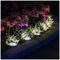 PELL0264 - Solar Powered LED Ground Lights, 5200K, IP44, Pack of 4