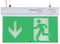 PELL0302 - Maintained 4-in-1 Emergency Exit Sign