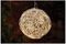 SC2103 - Madison Solar Hanging Wire Nest Light