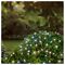 LT230065CW - 50 LED Battery Operated String Lights with Timer, Cool White, IP44