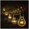 LT181008WW - 10 Bulb Low Voltage Festoon Lights, Warm White