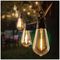 LT200201WW - 10 LED Drop Bulb Connectable Festoon Lights, Warm White