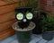 GH425 - Twin LED Solar Security Wall Lamp with PIR, Black