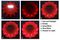 L130 - LED Magnetic Warning Light, Orange