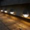 LF1254S - Solar LED Ivy Wall Light, Black, IP44