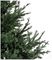 TR600GNS - 1.8m Glenshee Spruce Natural Christmas Tree