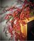 DF199225 - 1.8m Red Berry Decorative Garland, With Tips