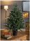 TR300PASH - Aspen Fir Potted Christmas Tree, 90cm