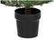 TR300PASH - Aspen Fir Potted Christmas Tree, 90cm