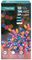 LB112383RBWC - 100 LED Battery Operated Time Lights with Timer, Rainbow