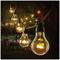 LV231260WW - 20 Bulb Festoon Lights, Warm White