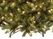 NT700DUNL - 2.1m Pre-Lit Dunhill Fir Christmas Tree, Warm White