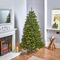 NT700DUNL - 2.1m Pre-Lit Dunhill Fir Christmas Tree, Warm White