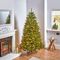 NT700DUNL - 2.1m Pre-Lit Dunhill Fir Christmas Tree, Warm White