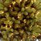 NT750KWL - 2.3m Pre-Lit Kingswood Christmas Tree