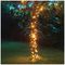 EC10001 - 40 LED Connectable String Lights with Black Cable, Warm White, 5m