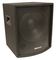 555-10317 - 12" Passive Subwoofer, 300W RMS