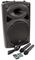 QR12PABT - 100W 12” Portable PA with USB/SD/FM/BT and VHF Mics