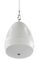 GLOBE-560XW - 40W Pendant Speaker 70V/100V/8 Ohm, Coaxial 5.25"