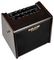 AC-25 - AC-25 Portable Acoustic Guitar Amp with BT & Effects, 25W
