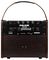 AC-25 - AC-25 Portable Acoustic Guitar Amp with BT & Effects, 25W