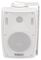 BM4V-W - 100V Wall Mount Background Speaker, 20W RMS